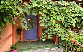 Sunshine Villa B&B